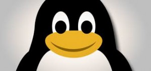 linux