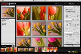  Adobe Lightroom llega a la Google Play Store