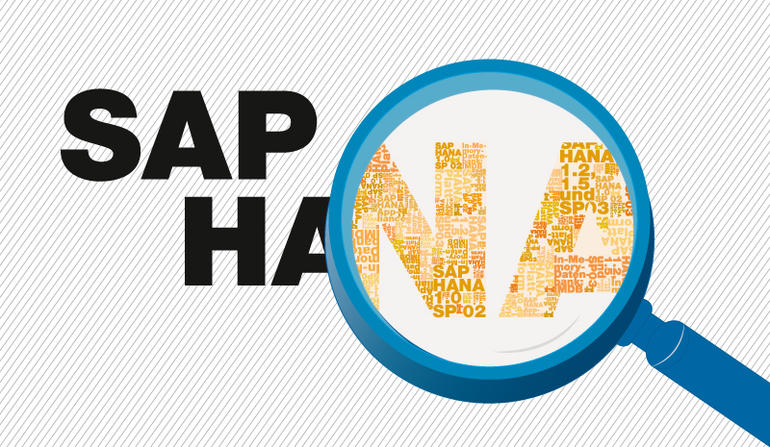  Entendiendo SAP HANA