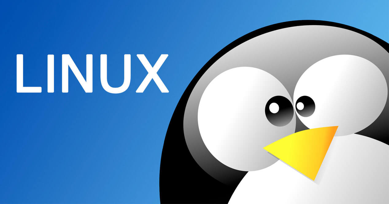  Linux para principiantes (Manuales y Guías)