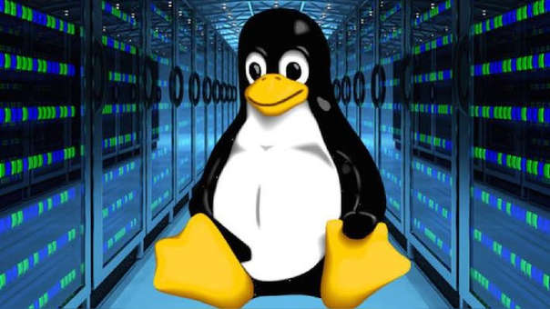  Cómo usar Git en la terminal de Linux