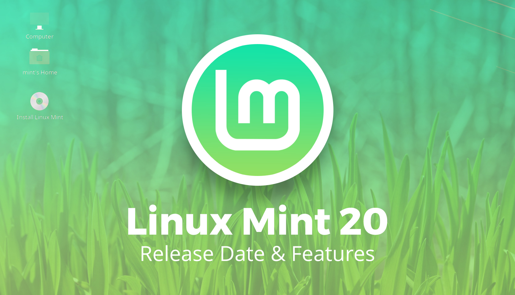  ¿Qué novedades incluirá Linux Mint 20?