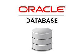  ¿Por qué aprender a trabajar con base de datos Oracle?