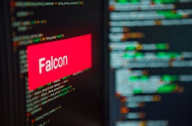  Falcón sistema para respetar la privacidad con algoritmos