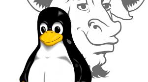  Cómo montar un servidor web y alojar una web en GNU/Linux