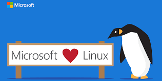  Microsoft añade aplicaciones de Linux a Windows 10