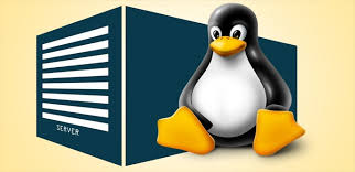  Las mejores distribuciones Linux para usar en servidores