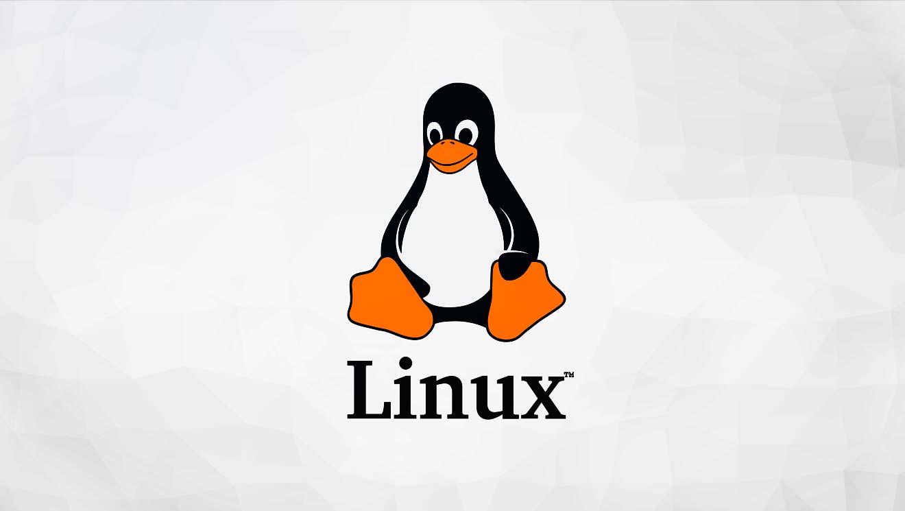  35 comandos básicos de Linux que todos debemos conocer