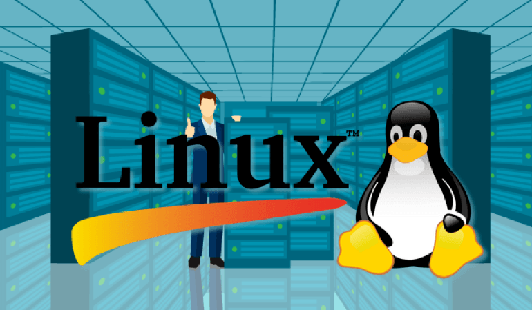  ¿Qué son los servidores Linux?