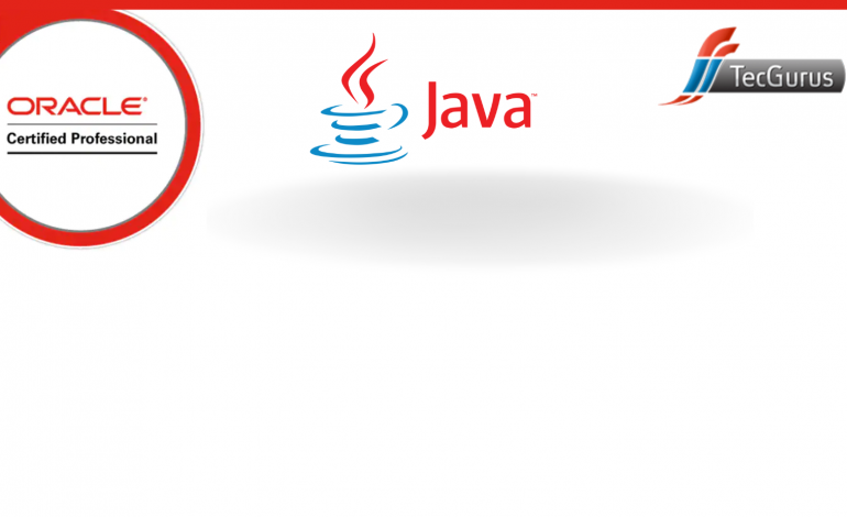  Certificación Programador Java I 1Z0-819