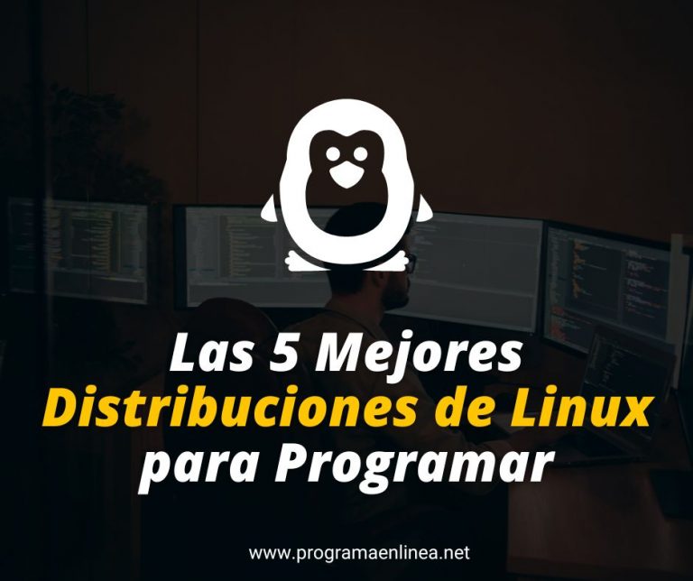 Las 5 Mejores Distribuciones de Linux para Programar – Programa en Línea