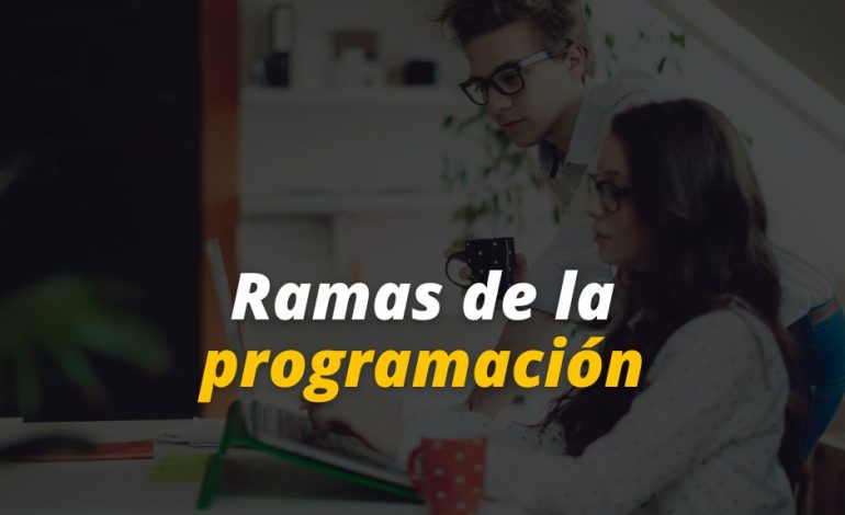  Ramas de la programación