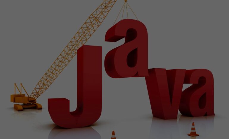  ¿Por qué Java es un lenguaje popular para el desarrollo web?