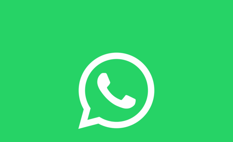  API REST de WhatsApp: Impacto en el marketing digital